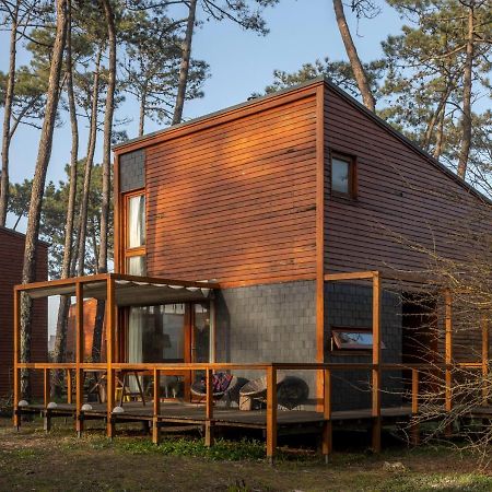 Bungalow B2 - Nature, Beach & River Ofir Eksteriør bilde