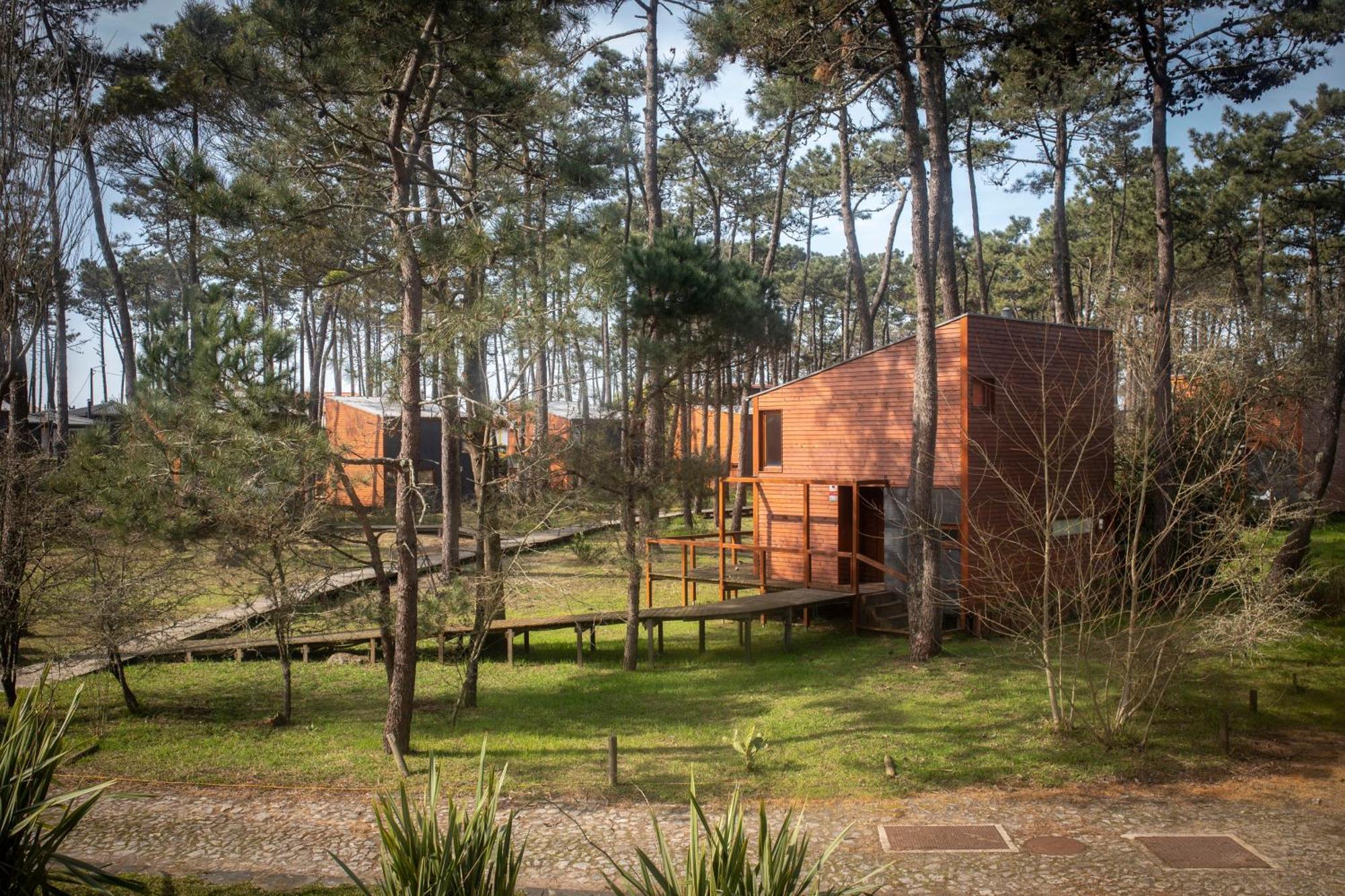 Bungalow B2 - Nature, Beach & River Ofir Eksteriør bilde