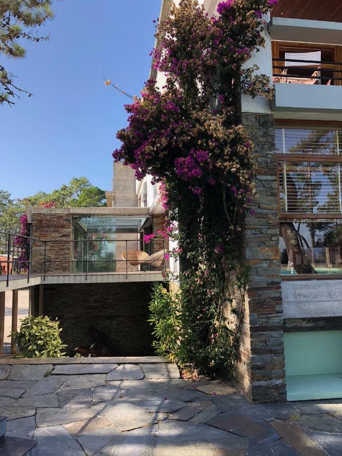Bungalow B2 - Nature, Beach & River Ofir Eksteriør bilde