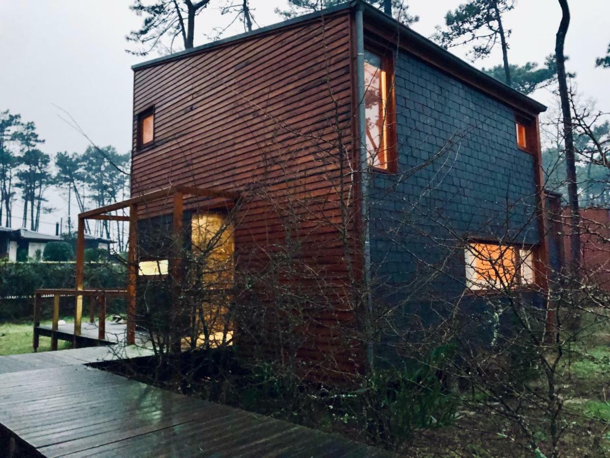 Bungalow B2 - Nature, Beach & River Ofir Eksteriør bilde