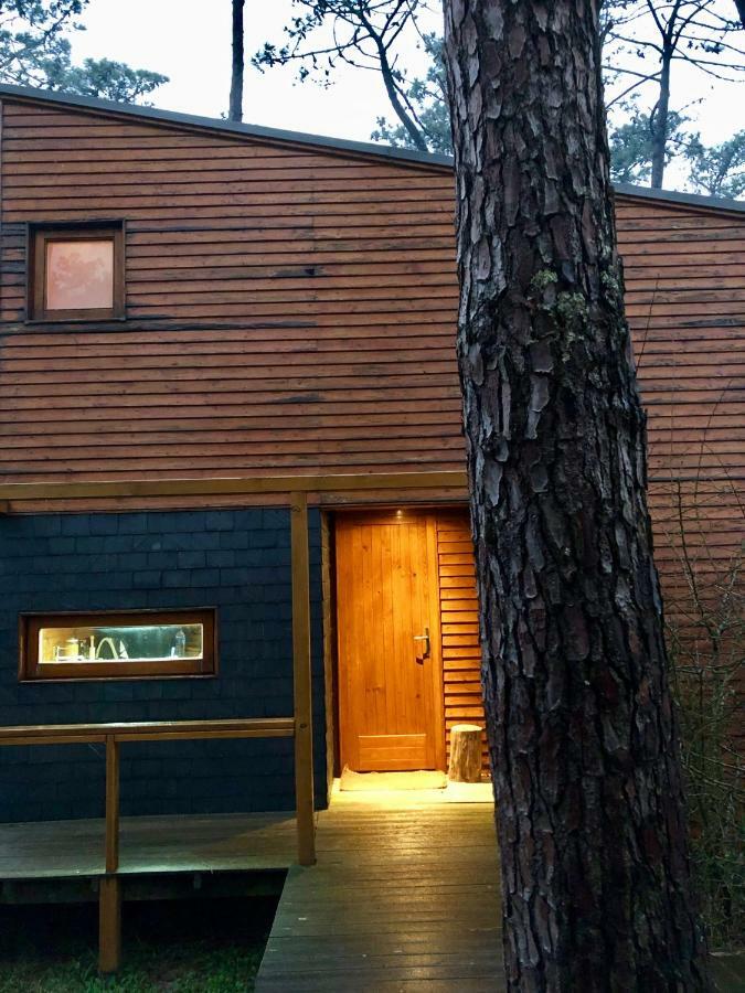Bungalow B2 - Nature, Beach & River Ofir Eksteriør bilde