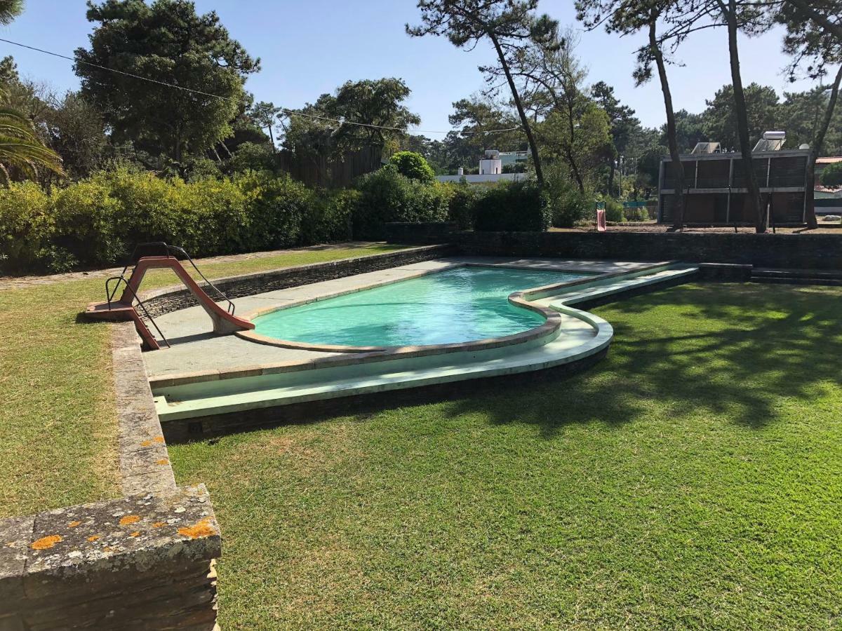 Bungalow B2 - Nature, Beach & River Ofir Eksteriør bilde