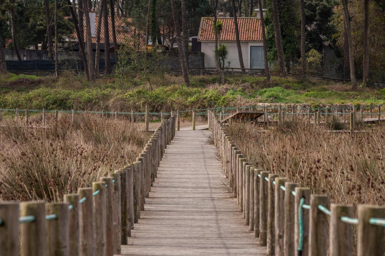 Bungalow B2 - Nature, Beach & River Ofir Eksteriør bilde