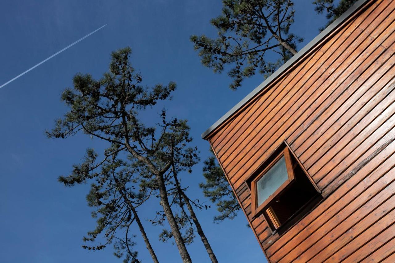 Bungalow B2 - Nature, Beach & River Ofir Eksteriør bilde